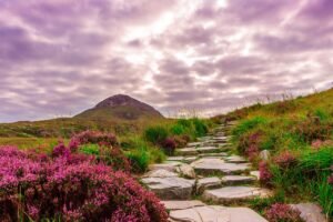 Exploring National Parks with Children