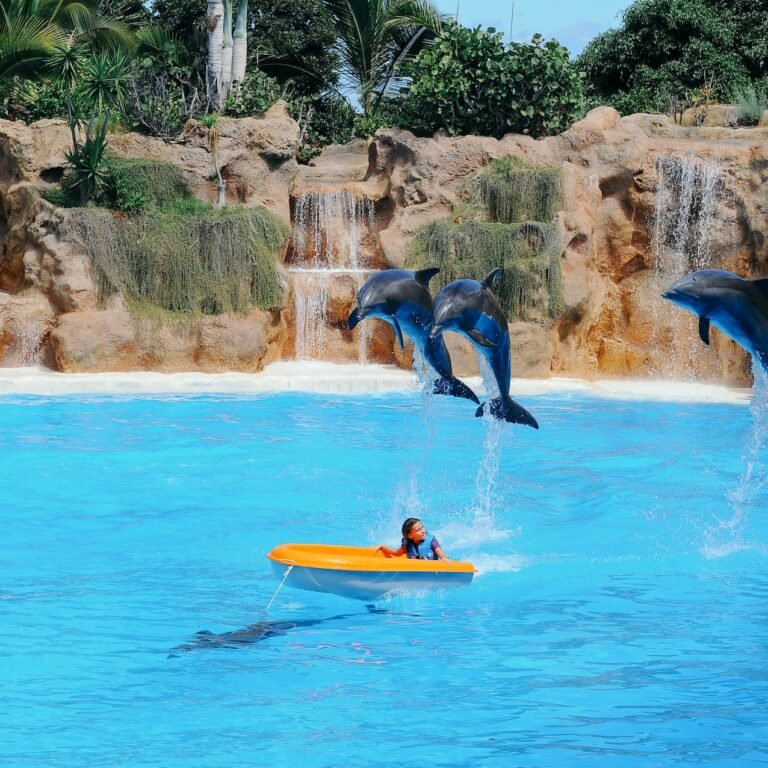 Exploring Dolphinaris in Cancun: A Marine Paradise